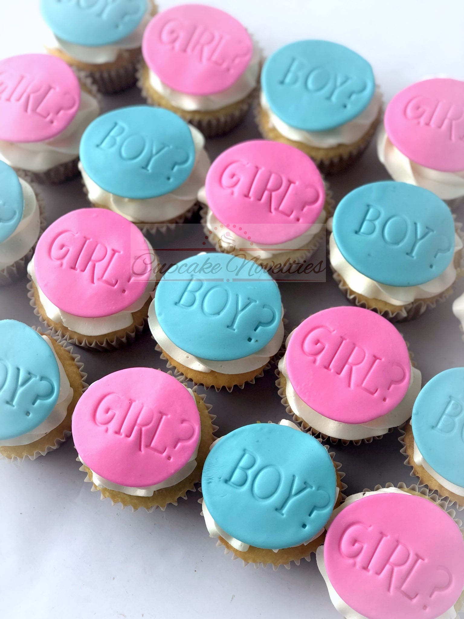 Gender Reveal Cupcakes Boy Girl Baby Shower Cupcakes - 1 dozen