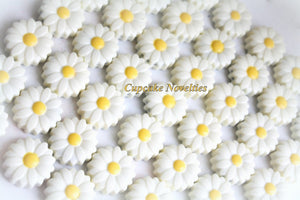 Spring Cookies Daisy Flower Cookies Garden Easter Chocolate Flower Baptism Cookies Wedding Favors Bridal Shower Mothers Day Cowgirl Birthday